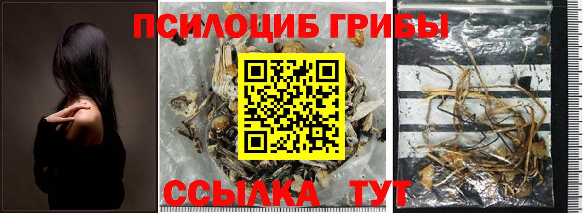 Галлюциногенные грибы Cubensis  Вход с VPN  Петрозаводск 